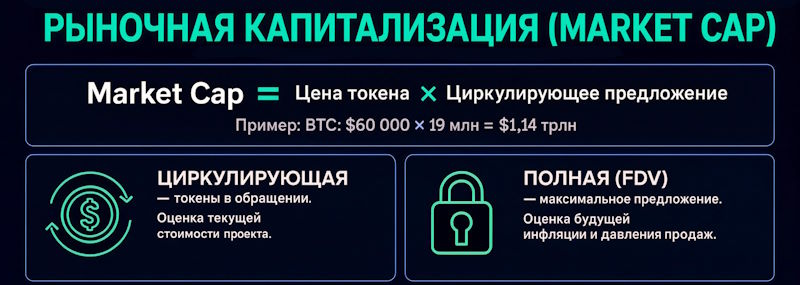 Инфографика, сравнивающая виды капитализации.